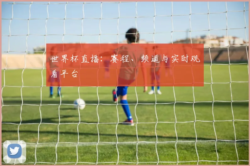 世界杯直播：赛程、频道与实时观看平台